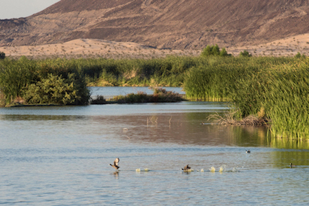 RALLY FOR THE RIVER! | Rally.org