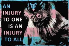 June 29th Support Fund for Portland Anti-Fascist Protesters